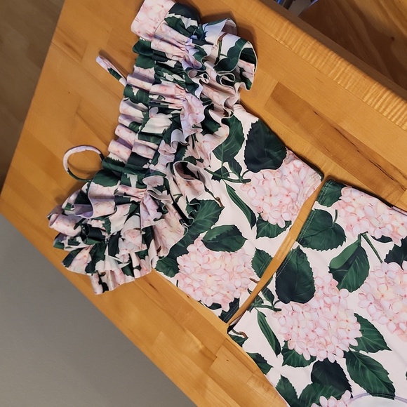 Ibakom Pink Hydrangea 2 Pc Swim Suit Highwaisted Ruffle Top Spaghetti Strap - Picture 2 of 10